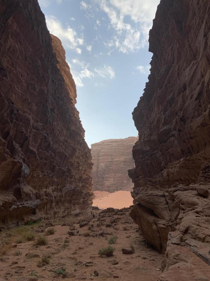 Sara Luxury Camp Hotel Wadi Rum Exterior foto
